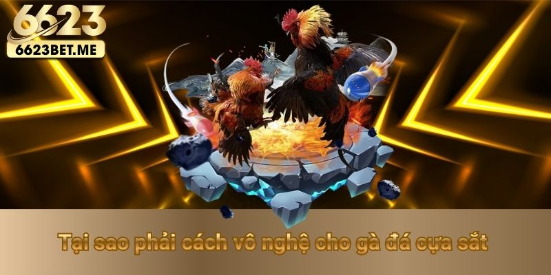 tai-sao-phai-cach-vo-nghe-cho-ga-da-cua-sat