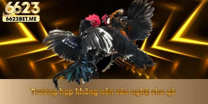 truong-hop-khong-nen-vao-nghe-cho-ga